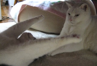 のび〜