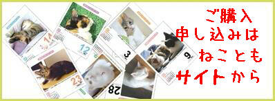 ねこともNet
