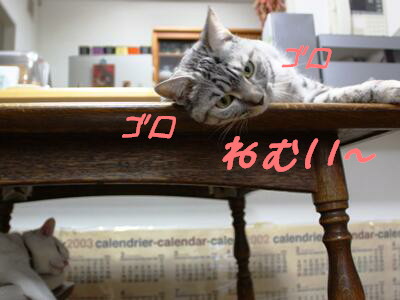 眠い〜