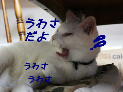 うわさ