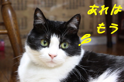 もう