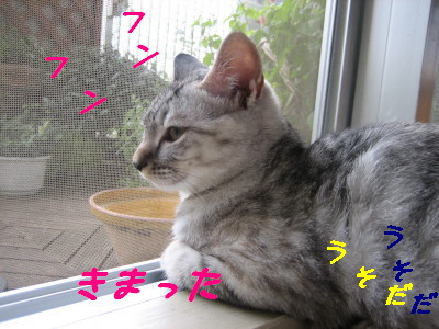 きまった