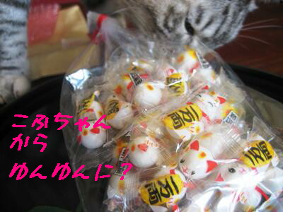 ゆんゆんに?