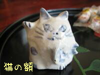 猫の額猫