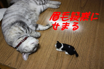 眉毛に