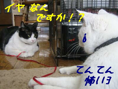 怖い