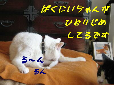 独り占め