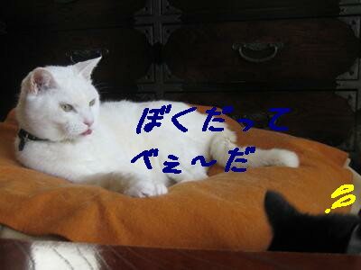 ぼくだって
