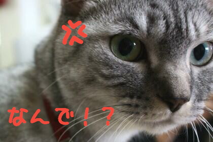 ケンカうってるの!?
