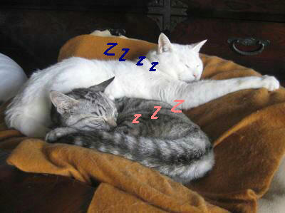 zzz