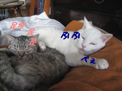 べぇ