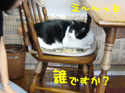 え〜っと