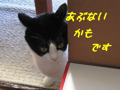 なんです?
