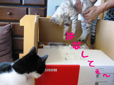 はなして〜