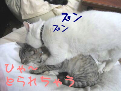 ひゃ〜