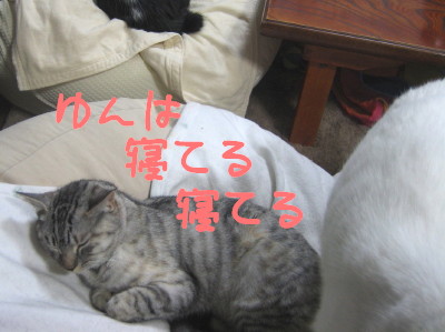 寝てる