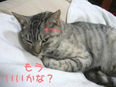 もういい?