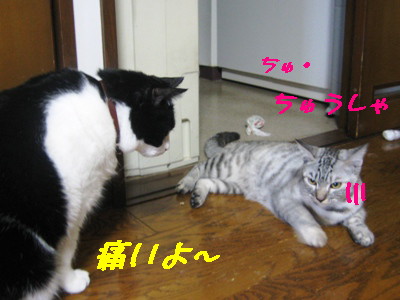 痛いよ〜