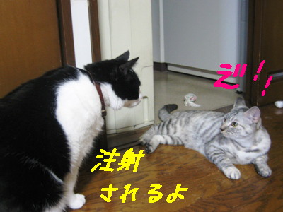 注射
