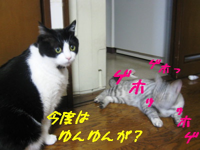げほッ