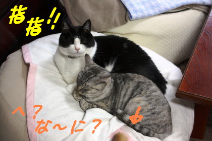 指が