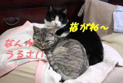 うるさい