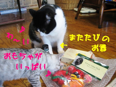 プレゼント