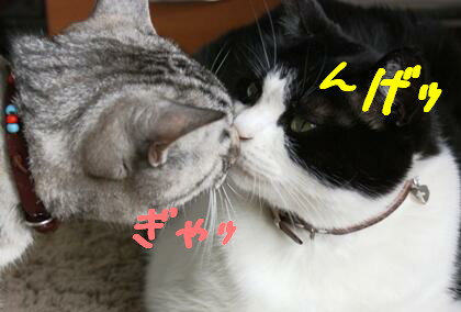 んげッ