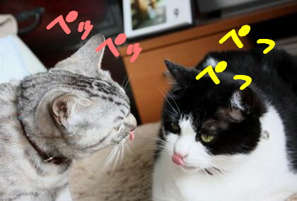 ぺっぺっ