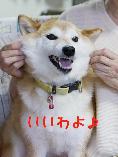 19402523_a.jpg