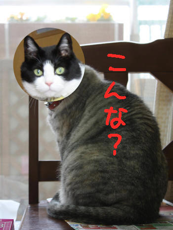 ゆんの背中に