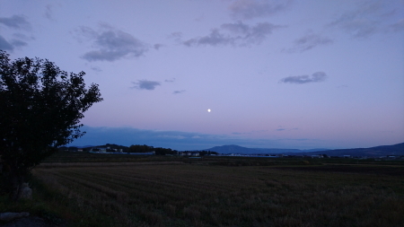 DSC_0142_1.jpg