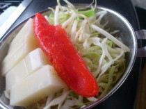 屋形船から