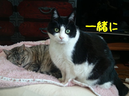 DSC_0615.1_a.jpg