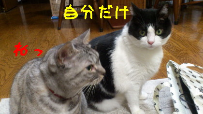帰ると