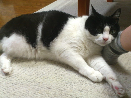 DSC_1036.1_1.jpg
