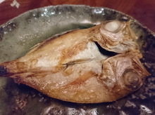 DSC_1065.1_1.jpg