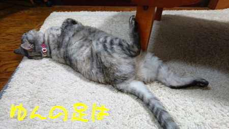 DSC_1393_a.jpg