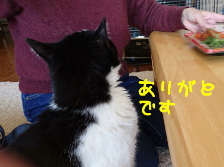 DSC_1888_1.jpg