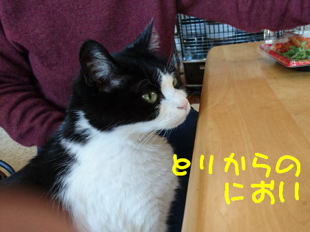 DSC_1890_a.jpg