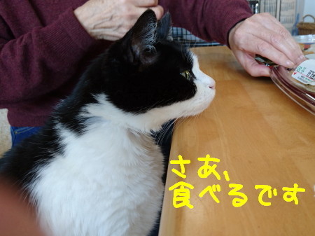 DSC_1893_a.jpg