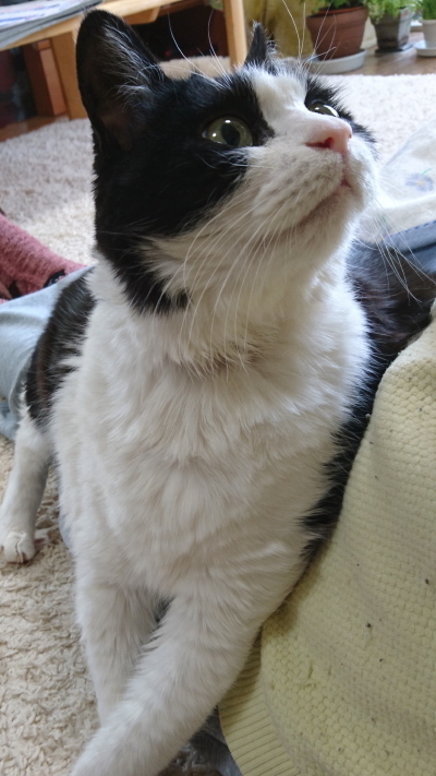 DSC_2053.1_1.jpg