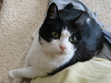 DSC_2079_1.jpg
