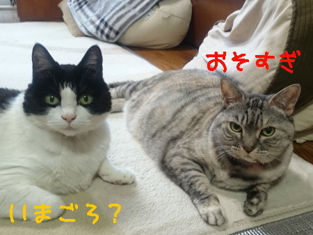 DSC_2158.2_a.jpg
