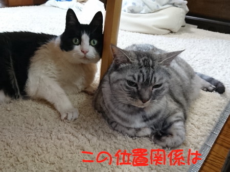 DSC_2187.1_a.jpg