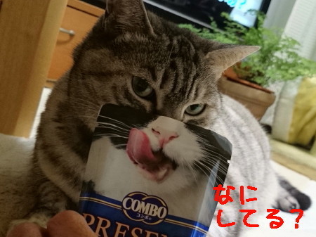 DSC_2227.1_a.jpg
