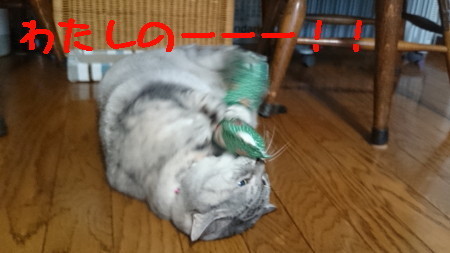 DSC_2407_1.jpg