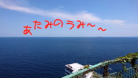 DSC_2447_1_a.jpg