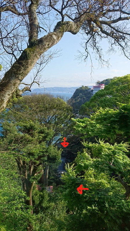 DSC_2501_1_2.jpg