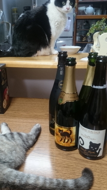DSC_2528.1_1.jpg